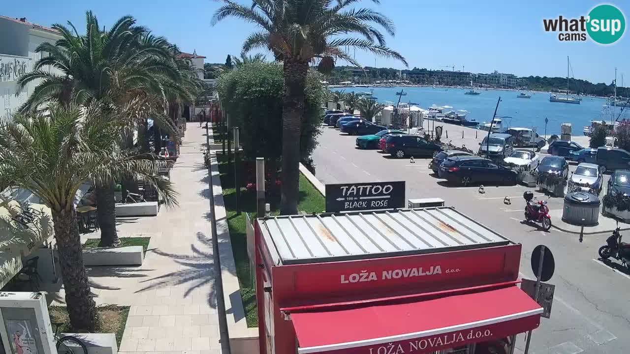 Camera en diecto Novalja – Obala Petra Krešimira IV