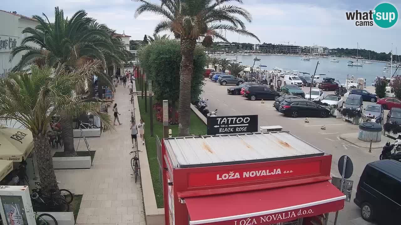 Spletna kamera Novalja – Obala Petra Krešimira IV