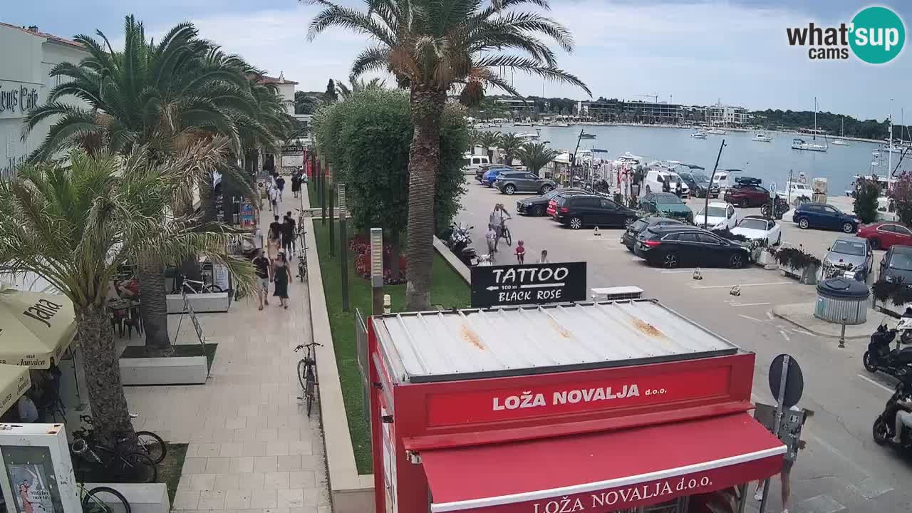 Webcam live Novalja – Obala Petra Krešimira IV
