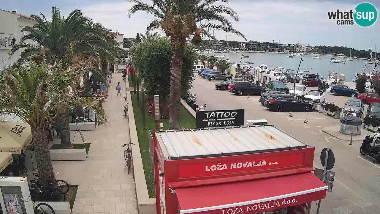 Camera en diecto Novalja – Obala Petra Krešimira IV
