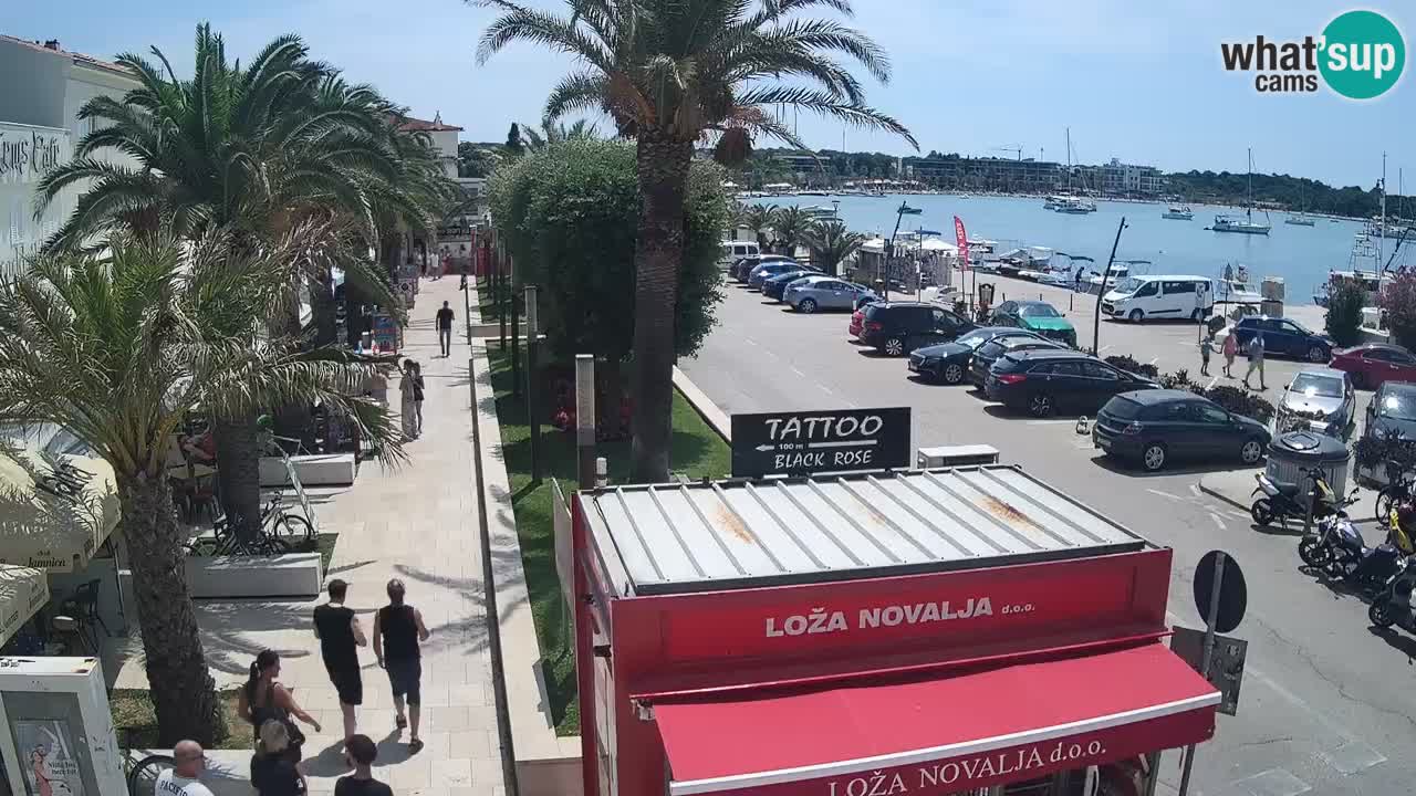 Webcam Novalja – Obala Petra Krešimira IV