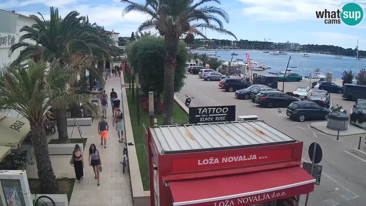 Spletna kamera Novalja – Obala Petra Krešimira IV