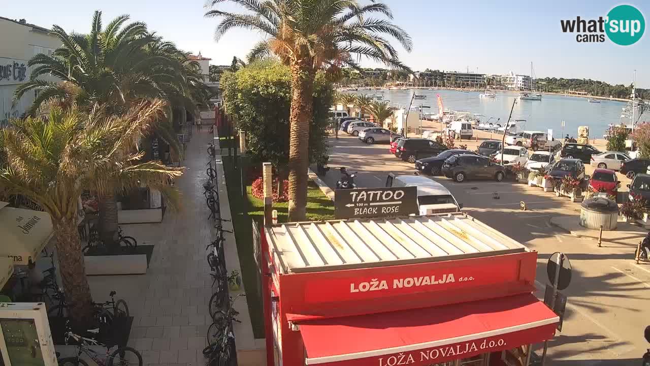 Webcam Novalja – Obala Petra Krešimira IV