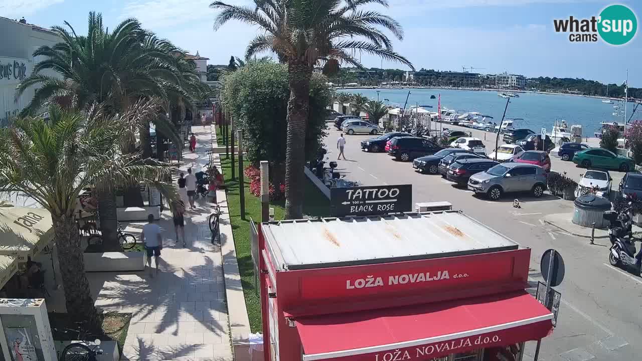 Live cam Novalja – Obala Petra Krešimira IV