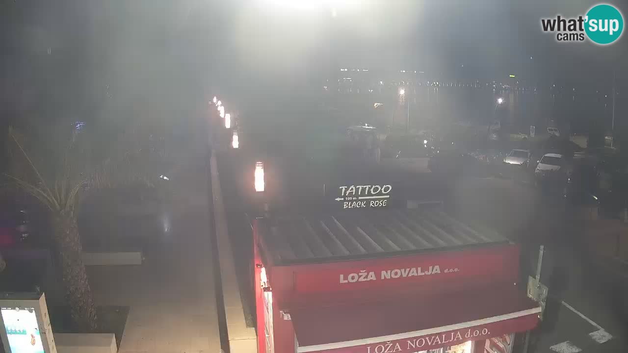 Camera en diecto Novalja – Obala Petra Krešimira IV