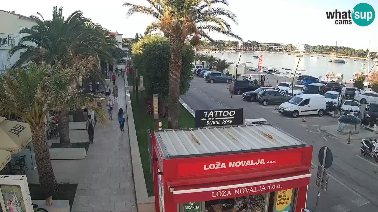 Live cam Novalja – Obala Petra Krešimira IV