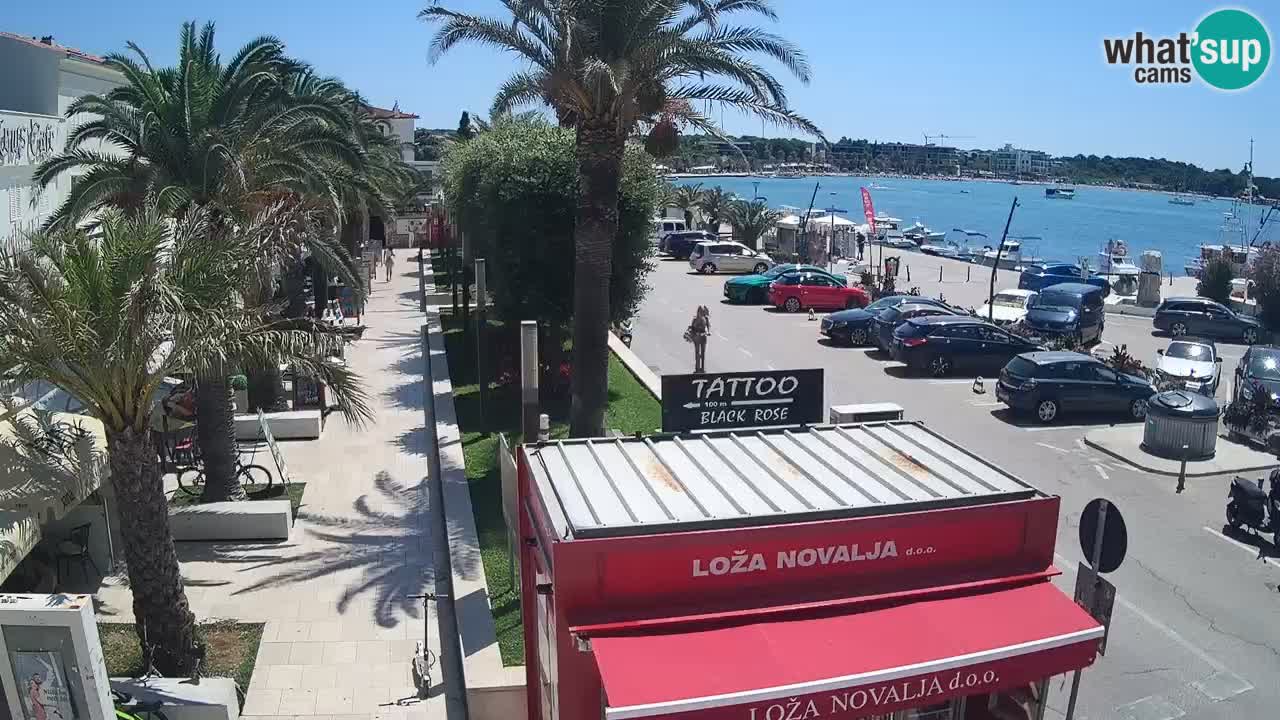 Live cam Novalja – Obala Petra Krešimira IV