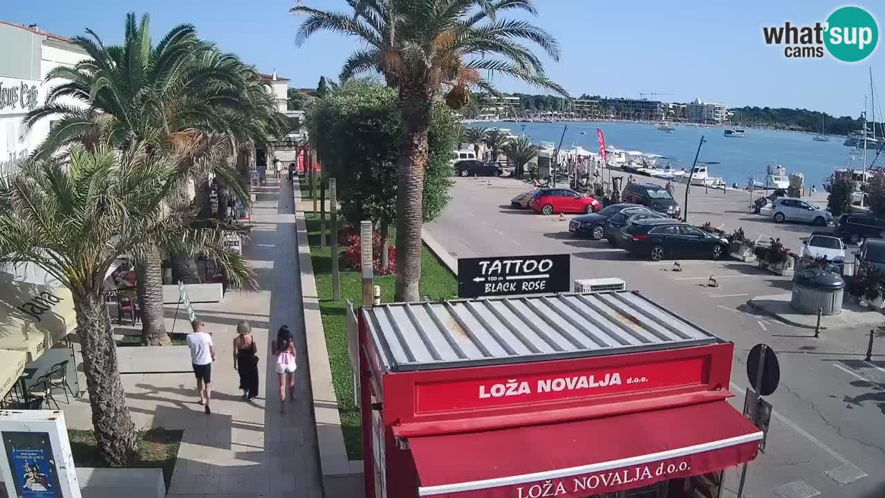 Webcam live Novalja – Obala Petra Krešimira IV