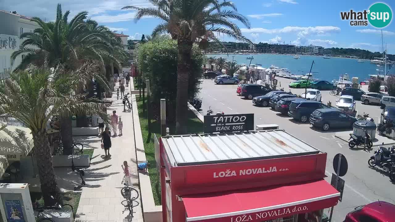 Camera en diecto Novalja – Obala Petra Krešimira IV