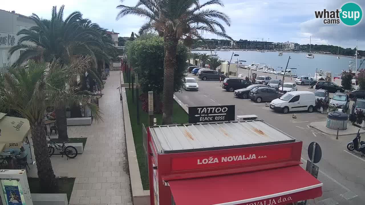 Live cam Novalja – Obala Petra Krešimira IV