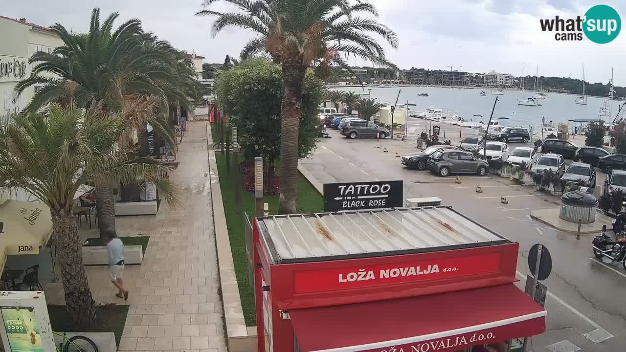 Webcam live Novalja – Obala Petra Krešimira IV