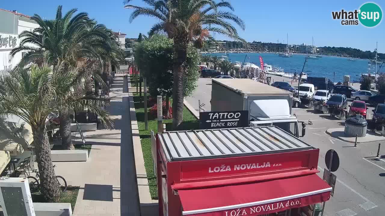 Live cam Novalja – Obala Petra Krešimira IV