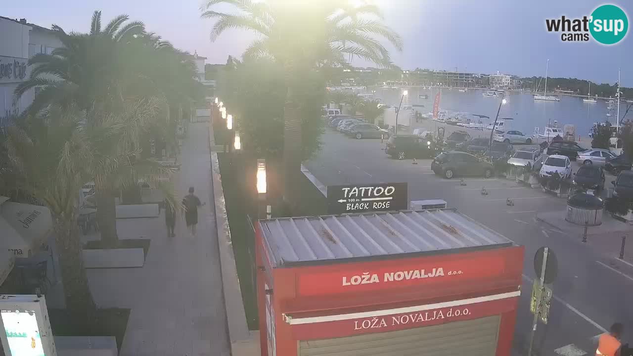 Camera en diecto Novalja – Obala Petra Krešimira IV