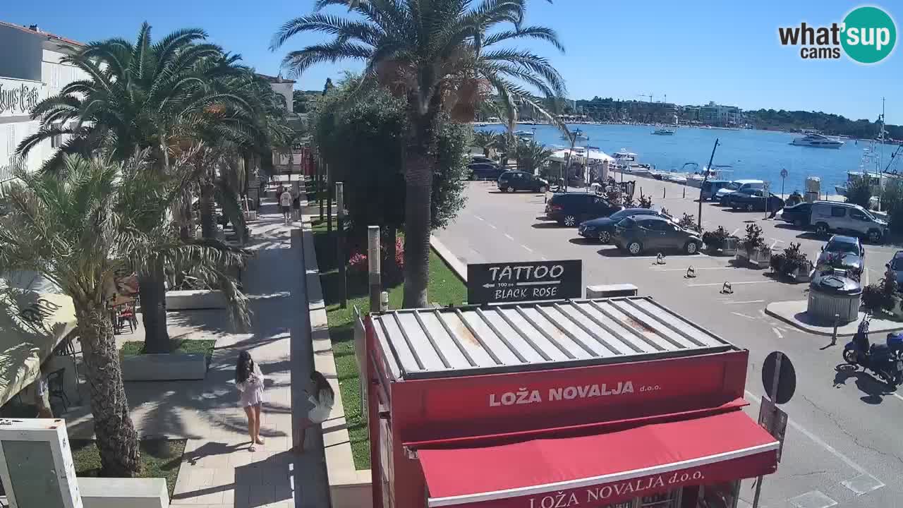 Camera en diecto Novalja – Obala Petra Krešimira IV