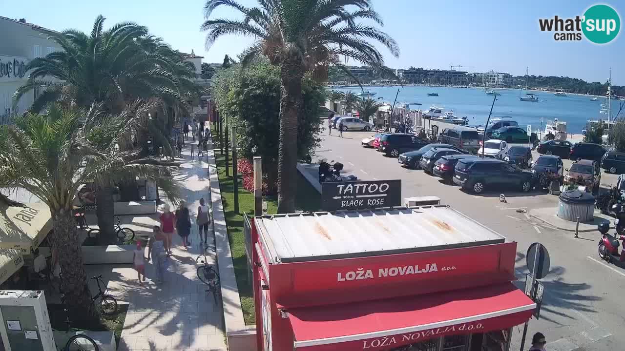 Spletna kamera Novalja – Obala Petra Krešimira IV