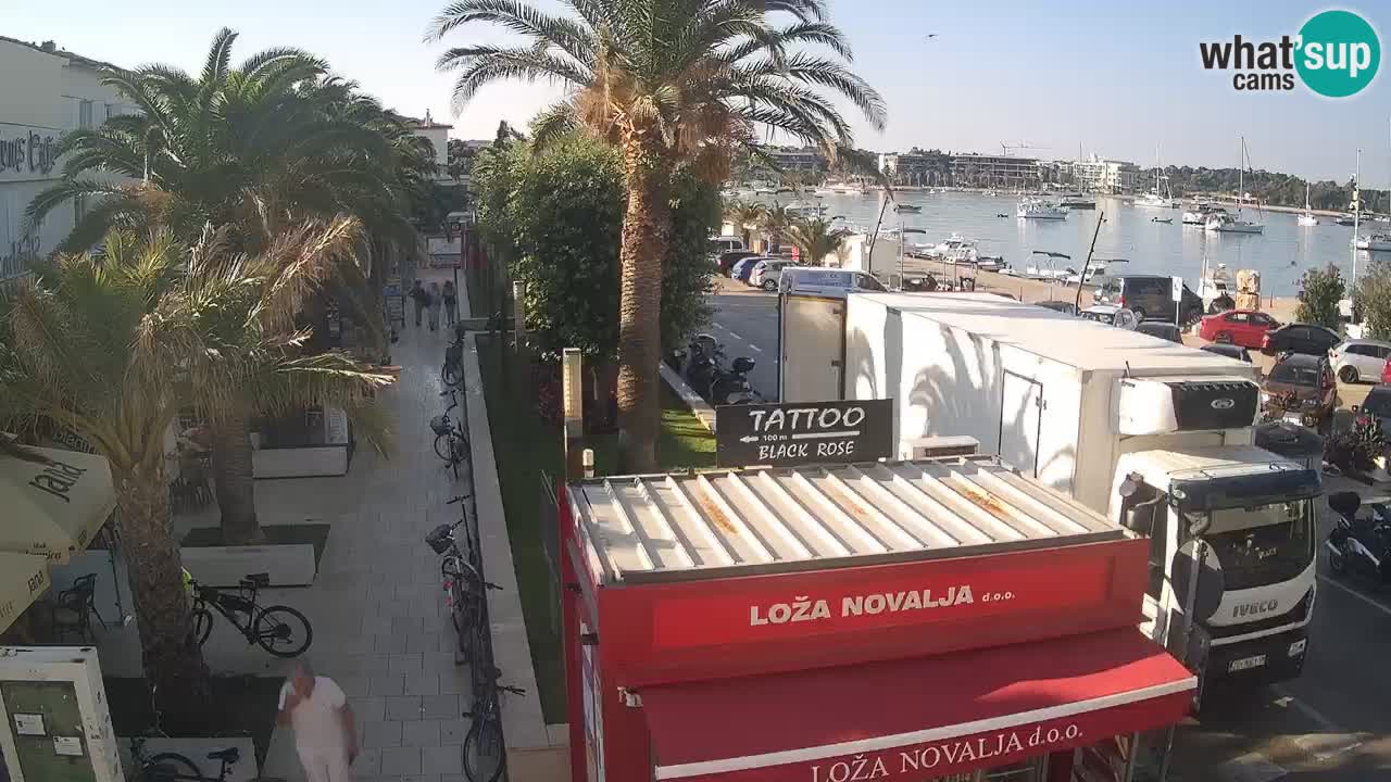 Spletna kamera Novalja – Obala Petra Krešimira IV