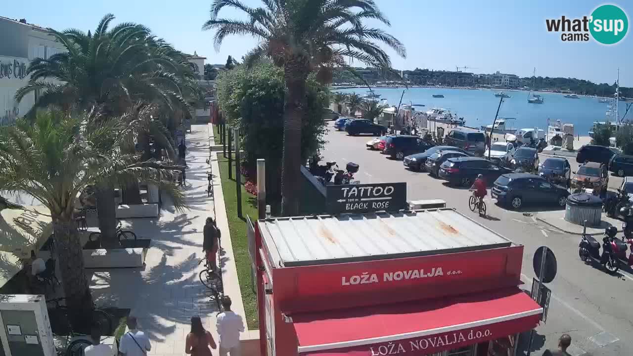 Spletna kamera Novalja – Obala Petra Krešimira IV