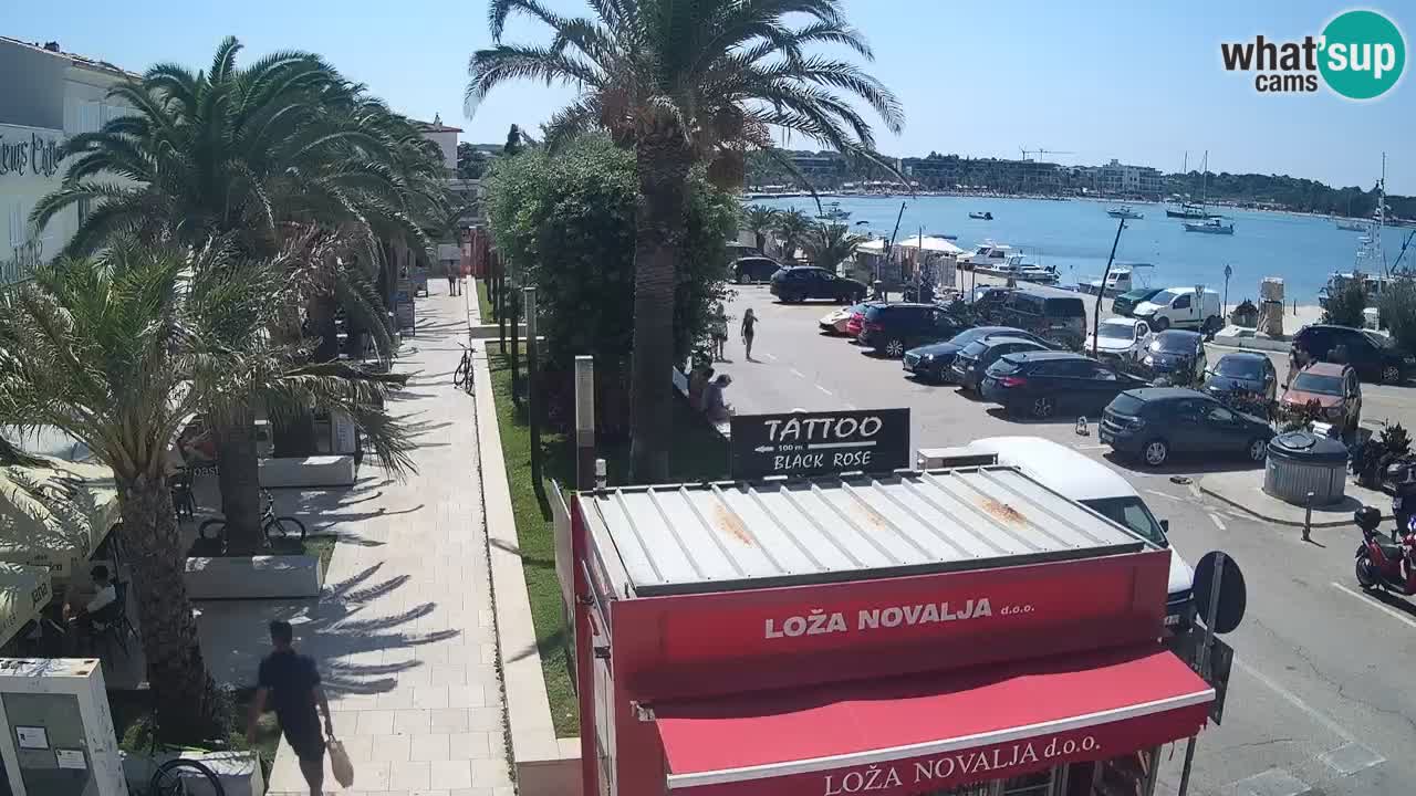 Spletna kamera Novalja – Obala Petra Krešimira IV