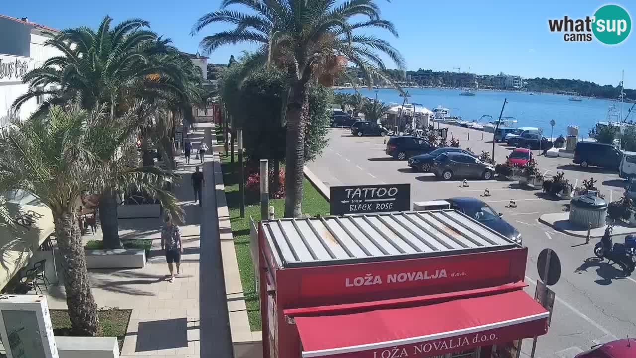 Camera en diecto Novalja – Obala Petra Krešimira IV