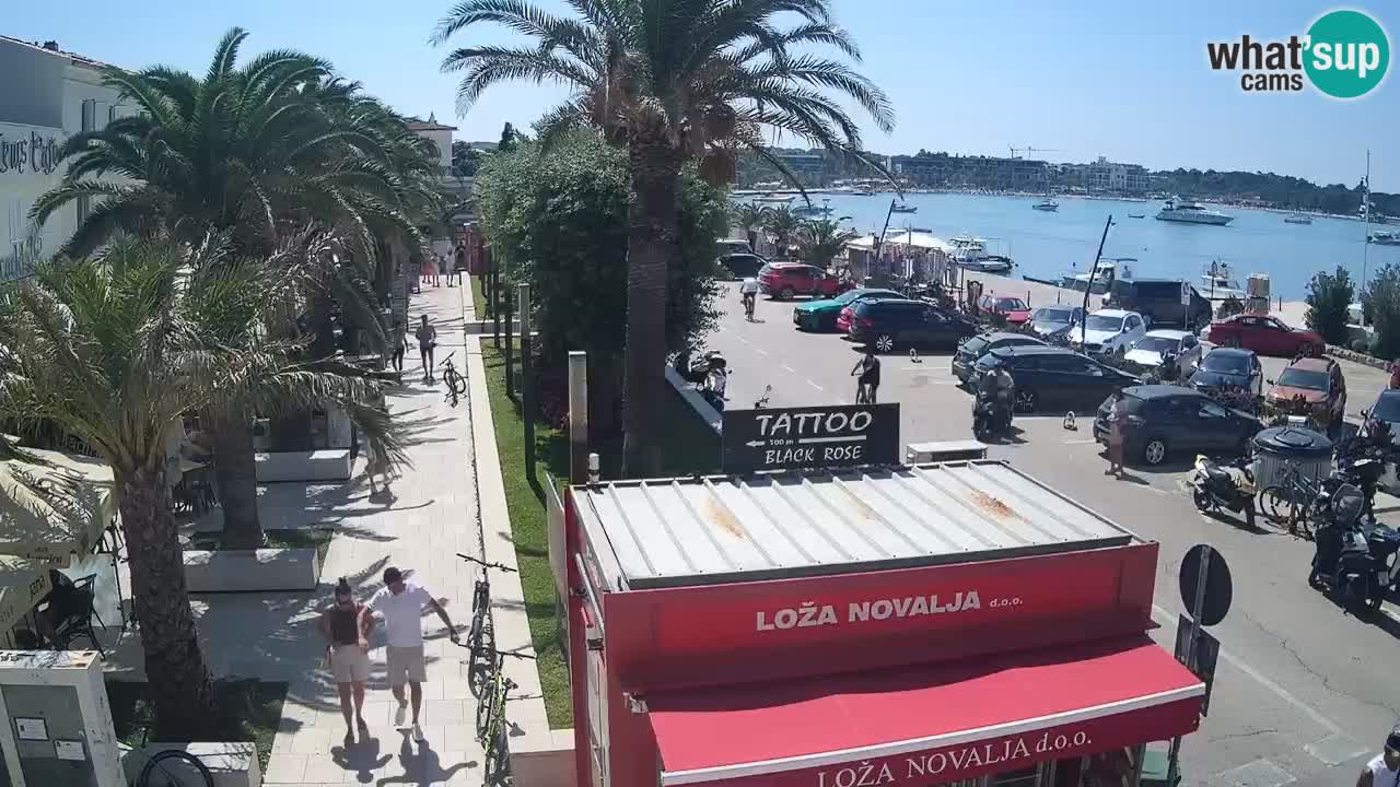 Spletna kamera Novalja – Obala Petra Krešimira IV