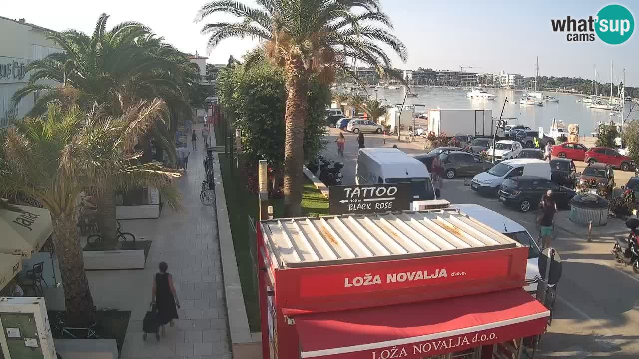 Live cam Novalja – Obala Petra Krešimira IV