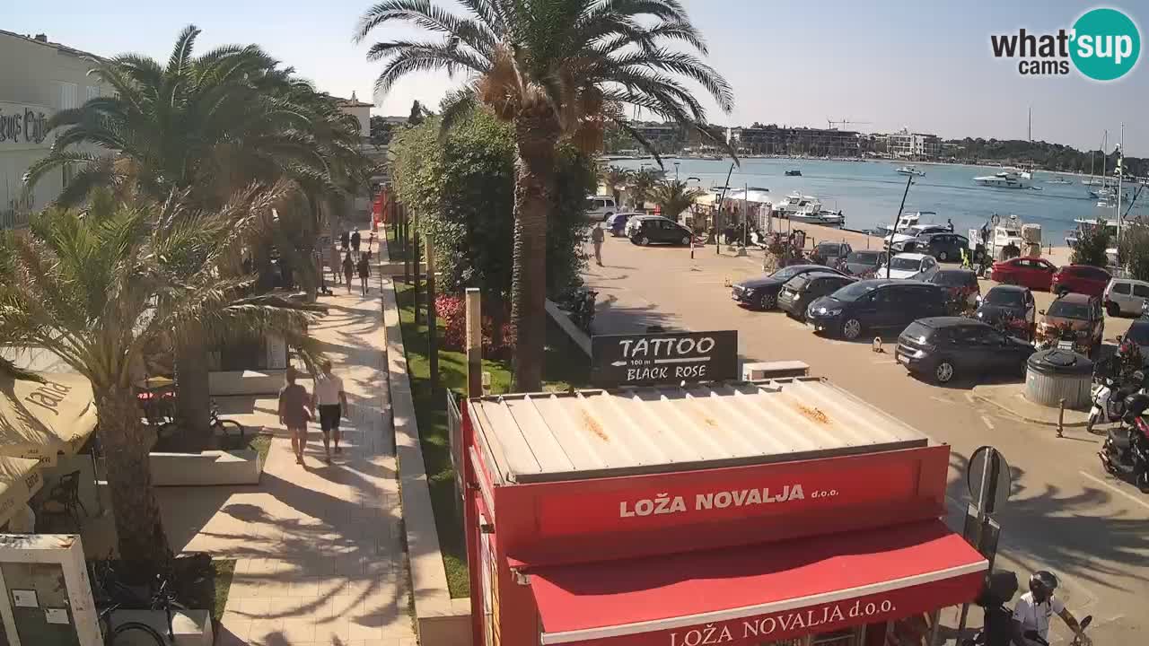 Camera en diecto Novalja – Obala Petra Krešimira IV