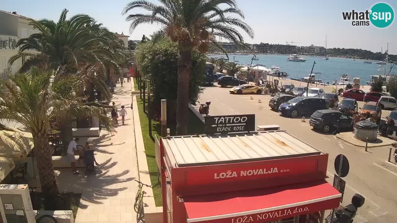 Camera en diecto Novalja – Obala Petra Krešimira IV