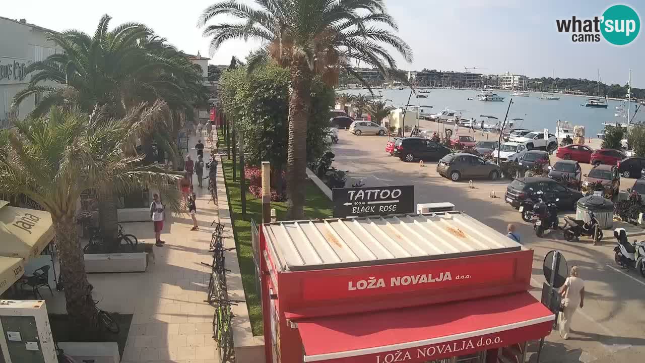 Camera en diecto Novalja – Obala Petra Krešimira IV