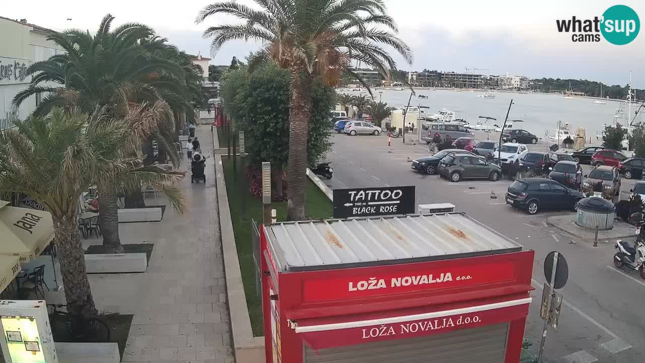 Webcam Novalja – Obala Petra Krešimira IV