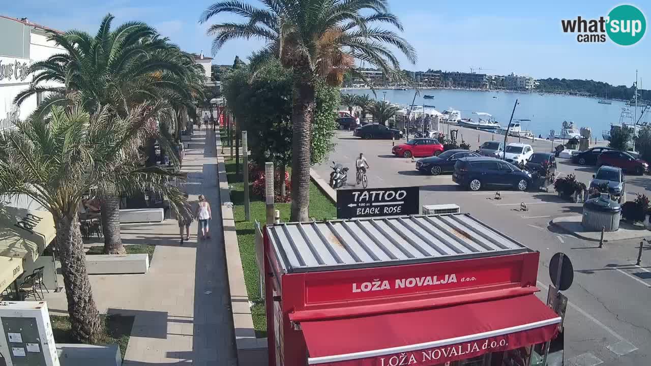 Webcam Novalja – Obala Petra Krešimira IV