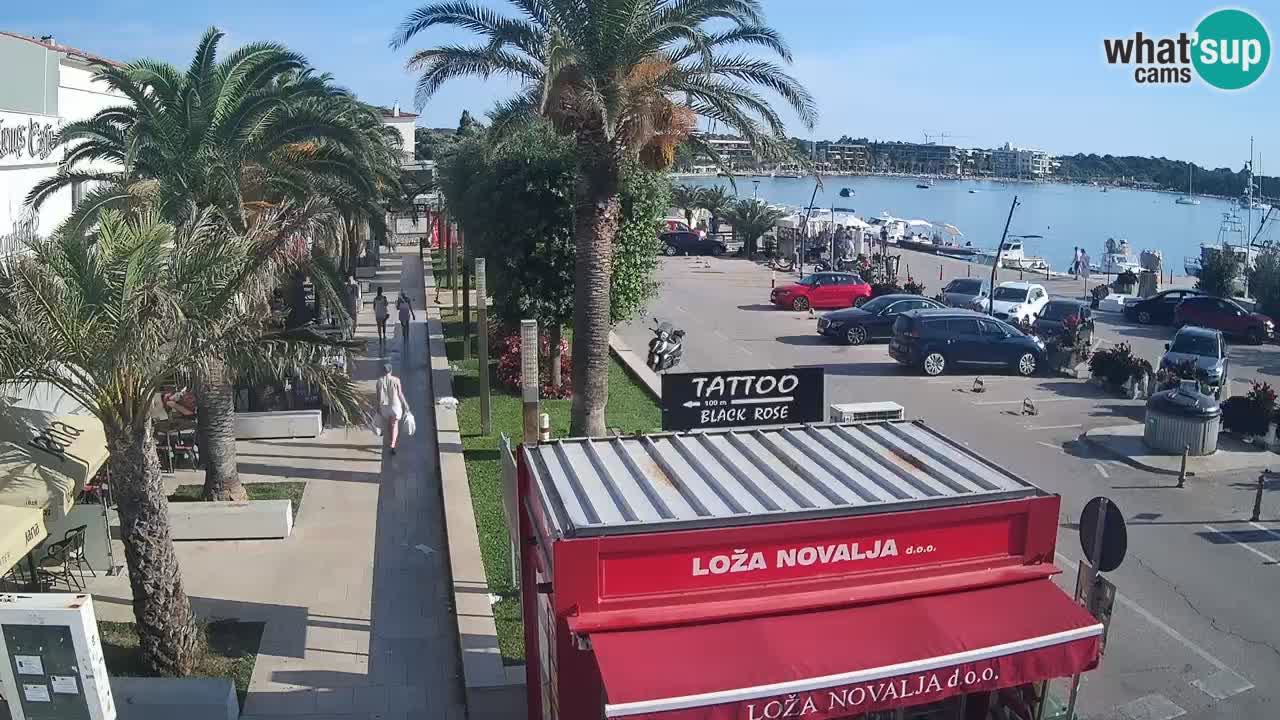Camera en diecto Novalja – Obala Petra Krešimira IV