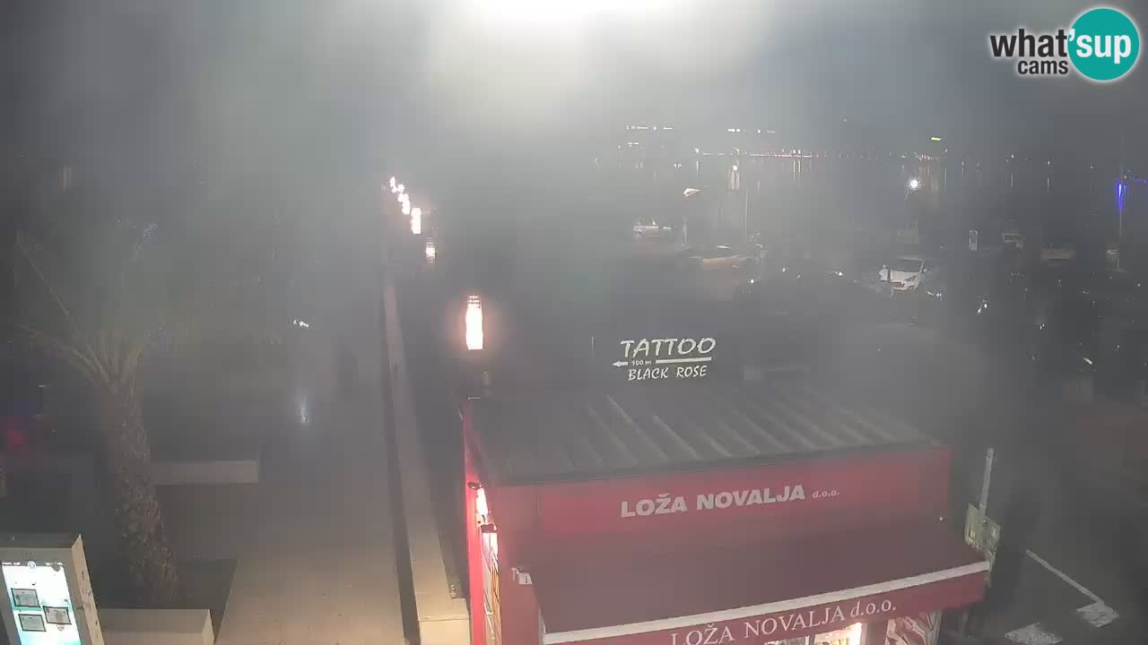Camera en diecto Novalja – Obala Petra Krešimira IV