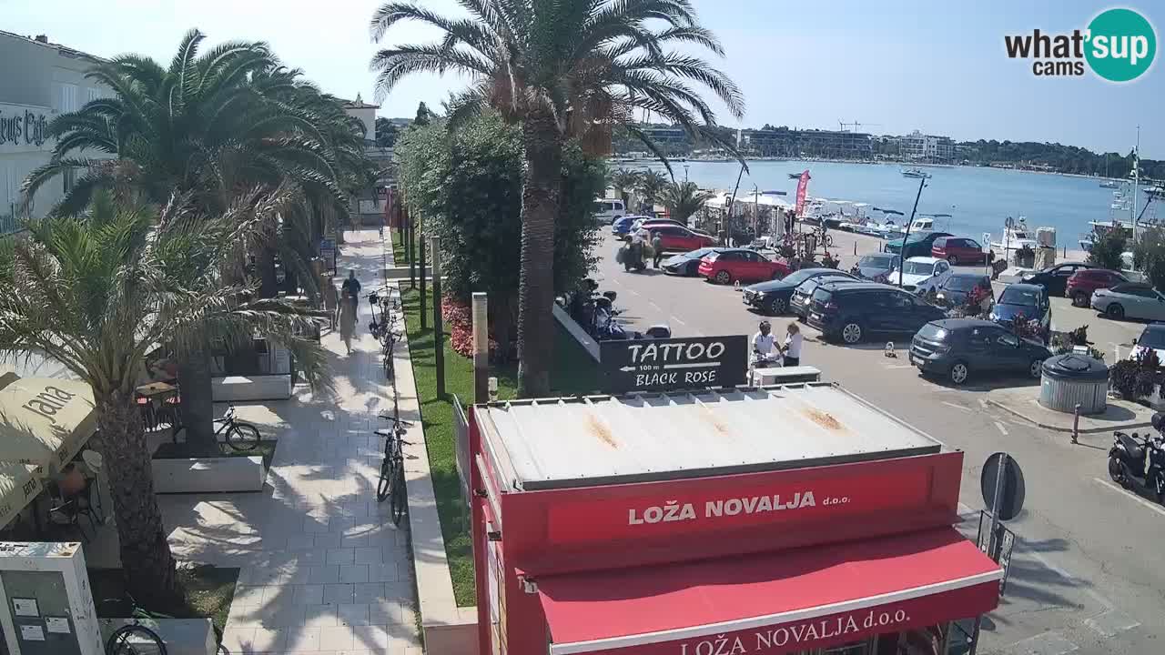 Webcam live Novalja – Obala Petra Krešimira IV