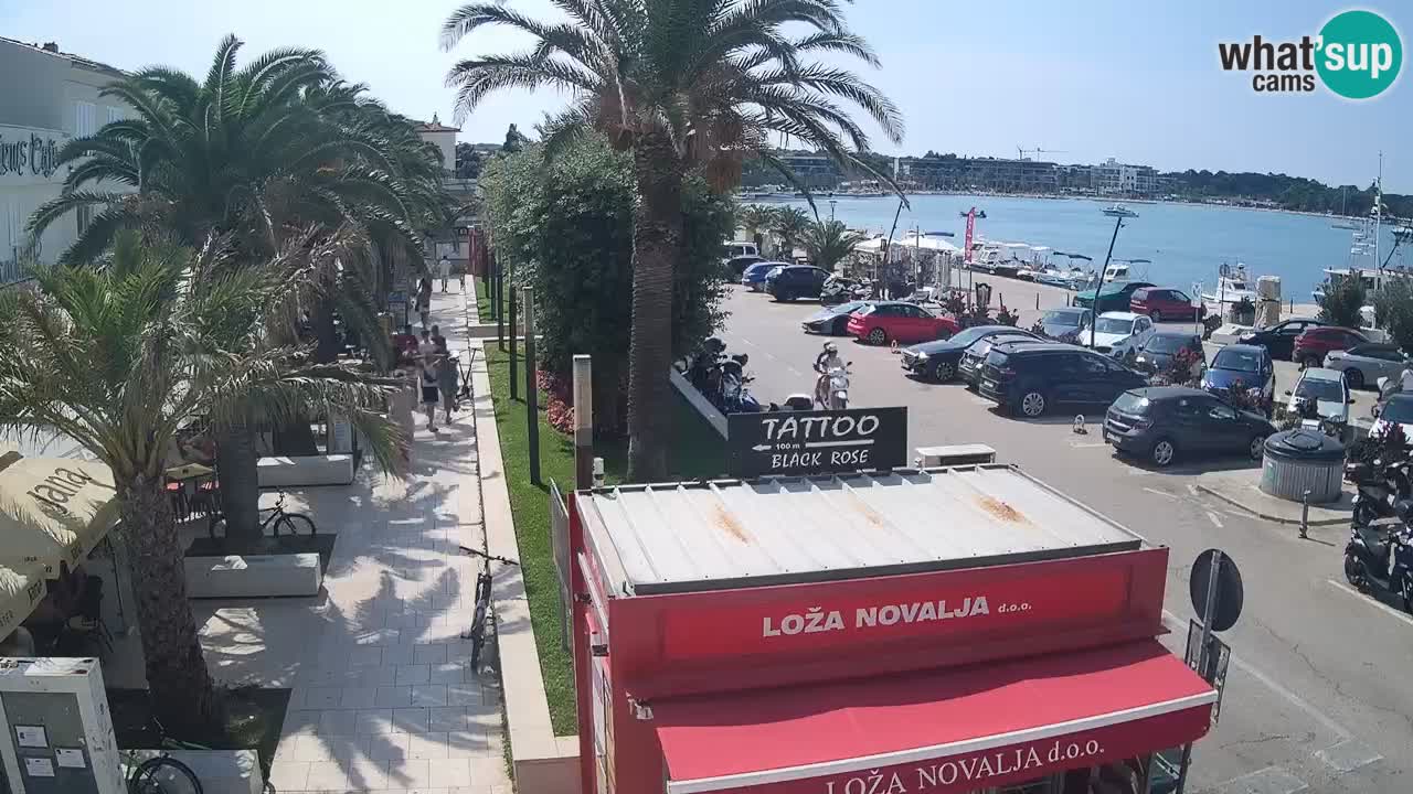 Camera en diecto Novalja – Obala Petra Krešimira IV