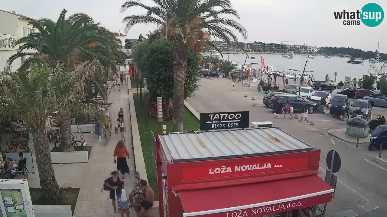 Live cam Novalja – Obala Petra Krešimira IV