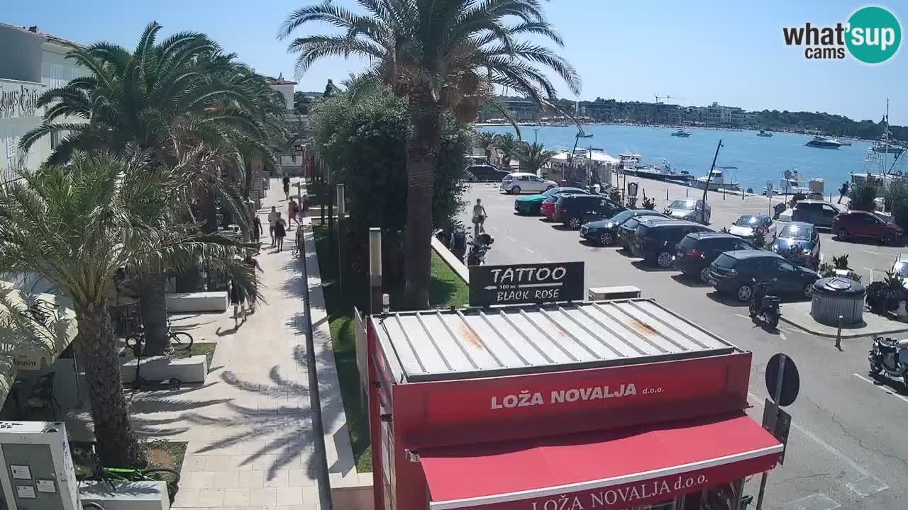 Spletna kamera Novalja – Obala Petra Krešimira IV