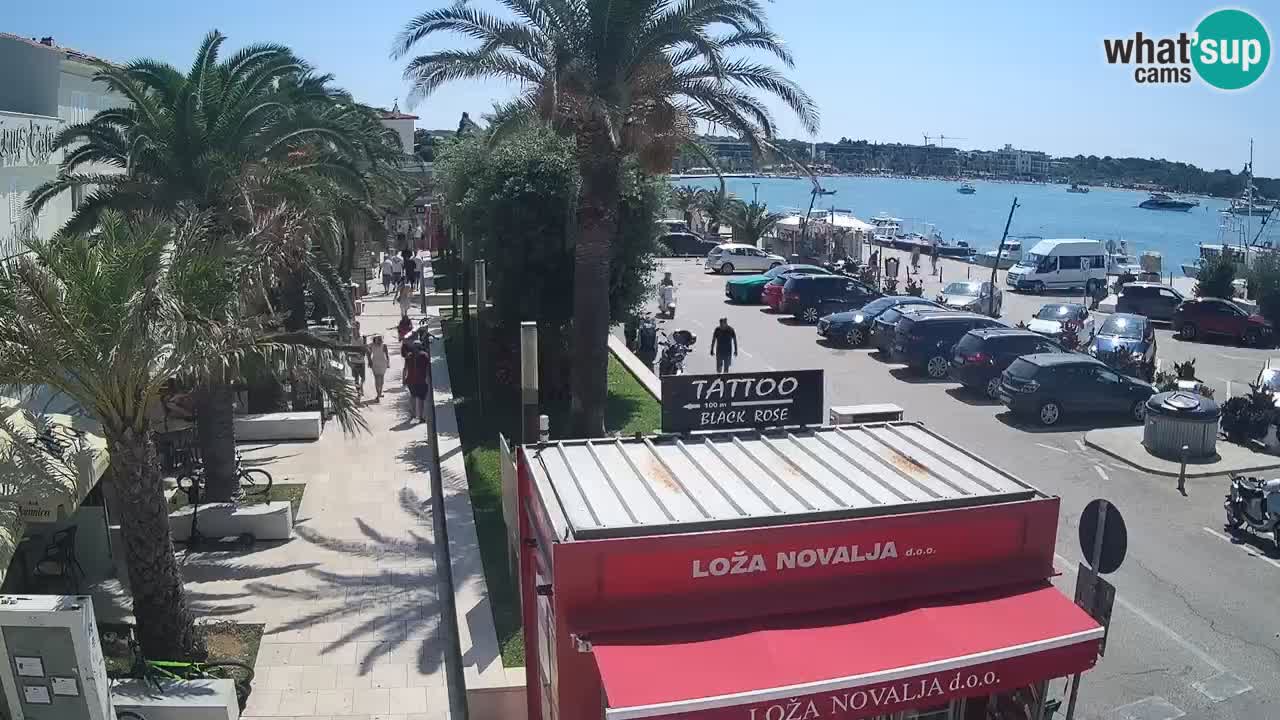 Spletna kamera Novalja – Obala Petra Krešimira IV