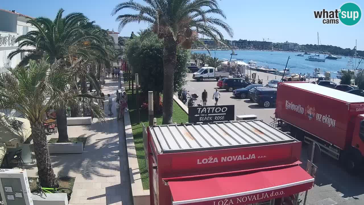 Camera en diecto Novalja – Obala Petra Krešimira IV