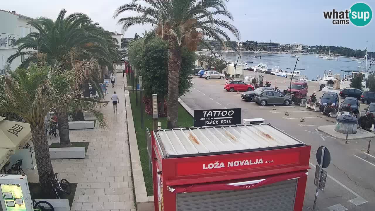 Live cam Novalja – Obala Petra Krešimira IV
