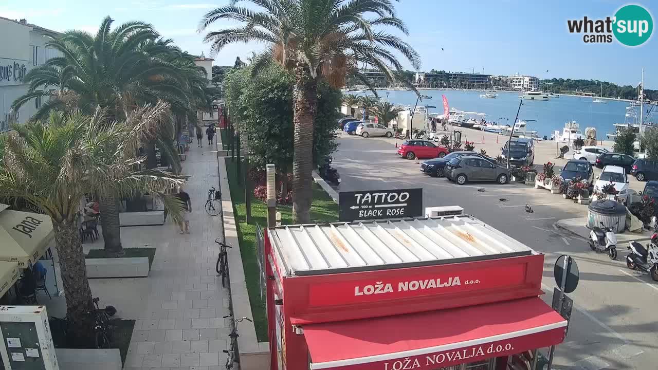Webcam live Novalja – Obala Petra Krešimira IV