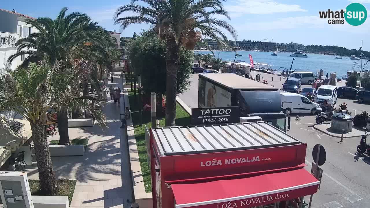 Camera en diecto Novalja – Obala Petra Krešimira IV