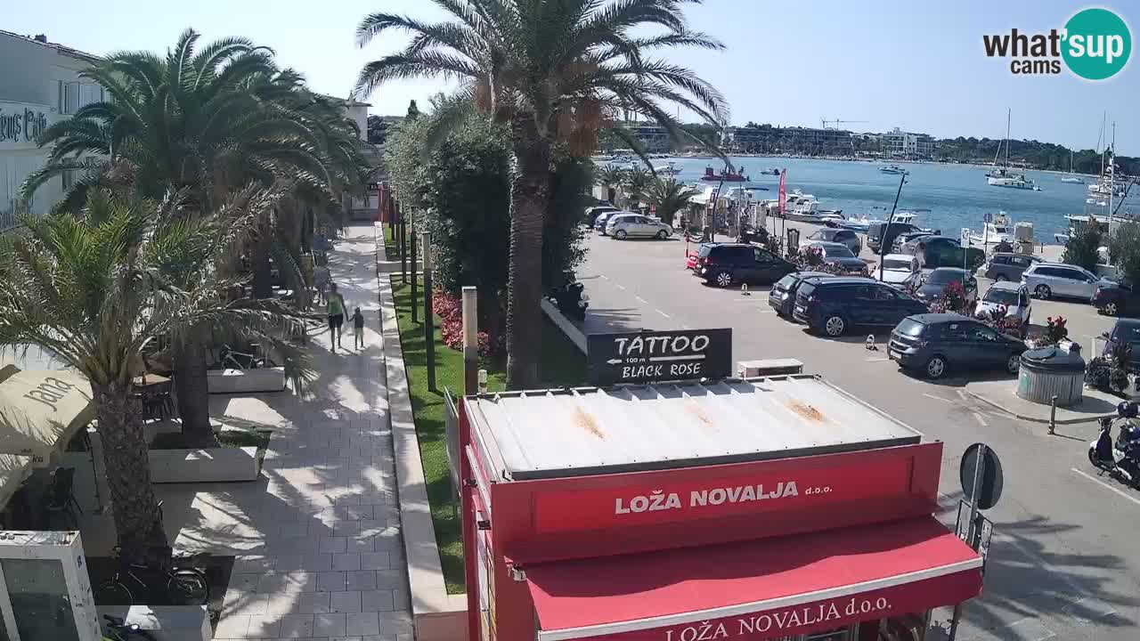 Camera en diecto Novalja – Obala Petra Krešimira IV