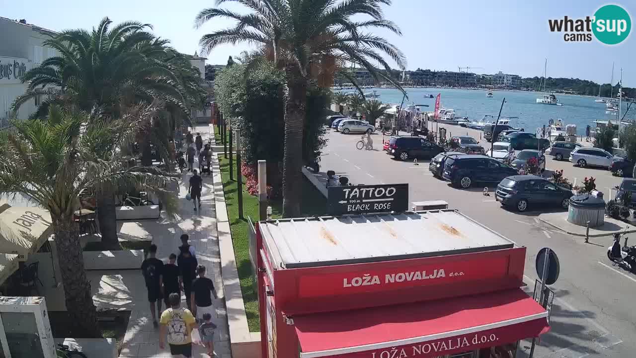 Camera en diecto Novalja – Obala Petra Krešimira IV
