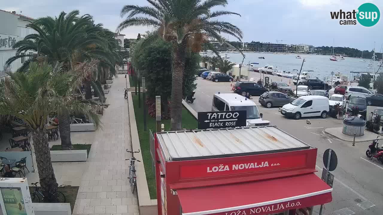 Live cam Novalja – Obala Petra Krešimira IV