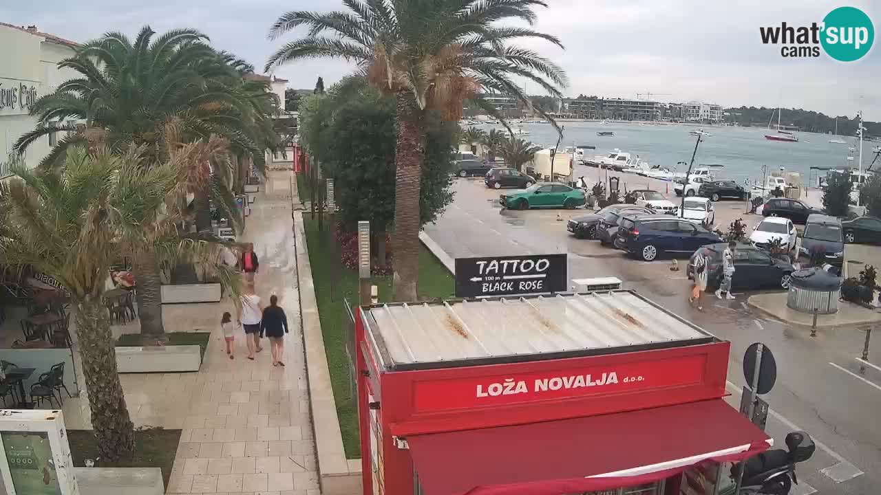 Camera en diecto Novalja – Obala Petra Krešimira IV