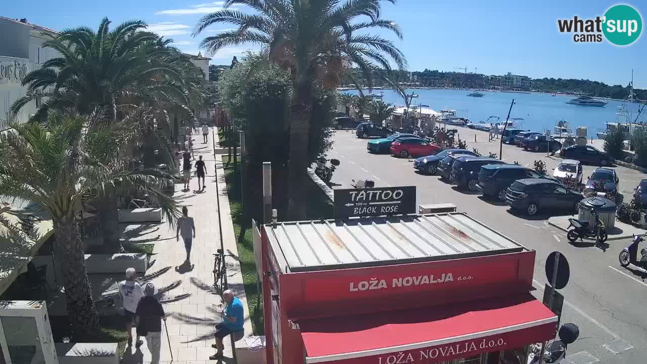 Camera en diecto Novalja – Obala Petra Krešimira IV