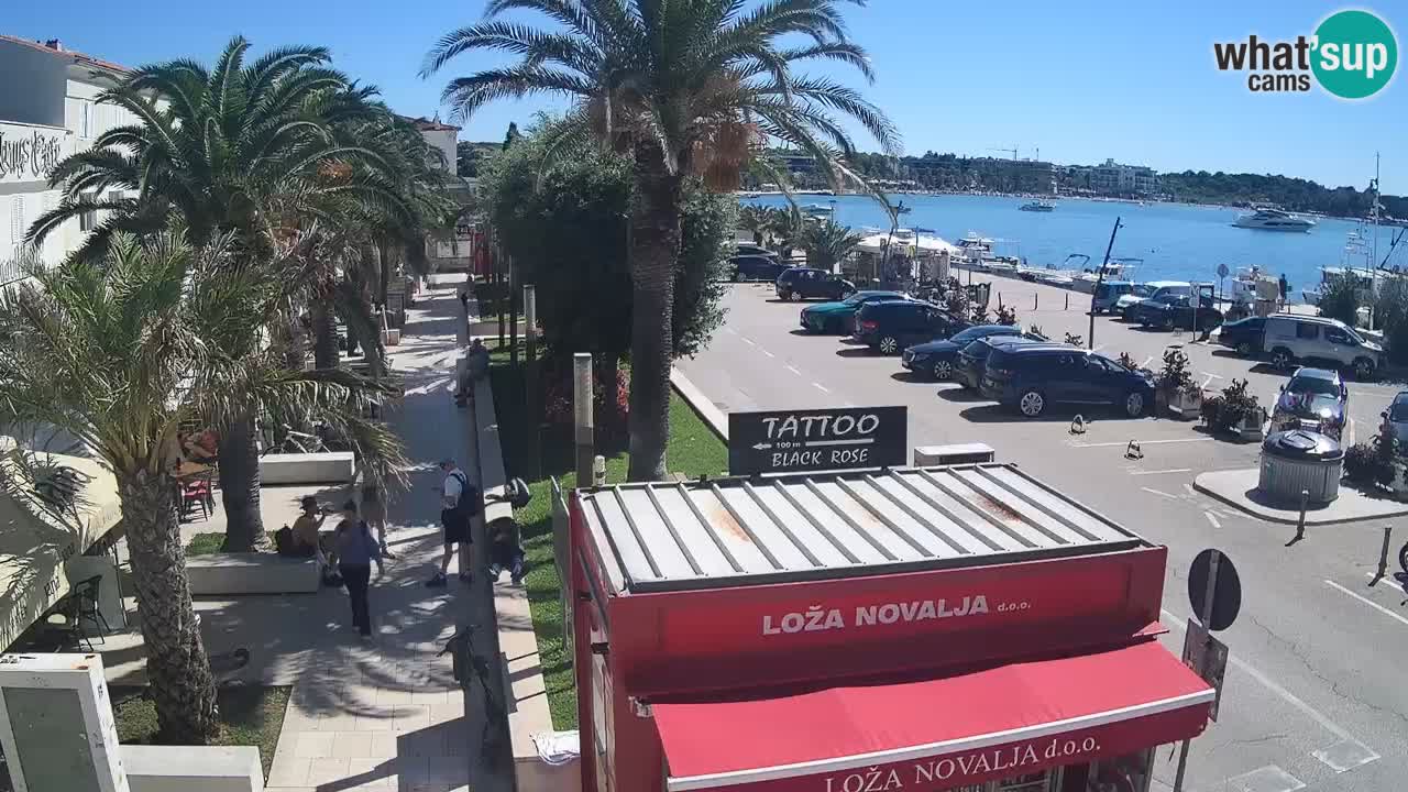 Spletna kamera Novalja – Obala Petra Krešimira IV