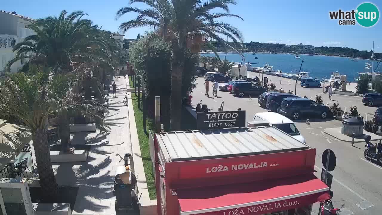 Live cam Novalja – Obala Petra Krešimira IV