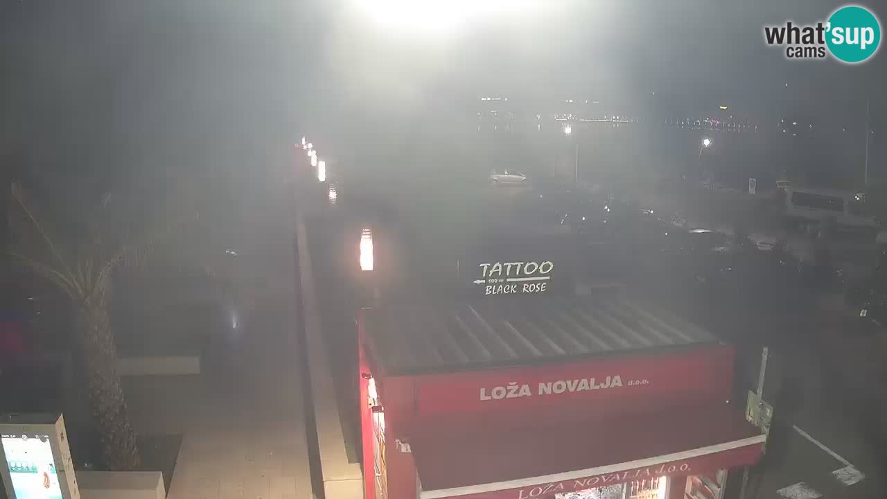 Camera en diecto Novalja – Obala Petra Krešimira IV