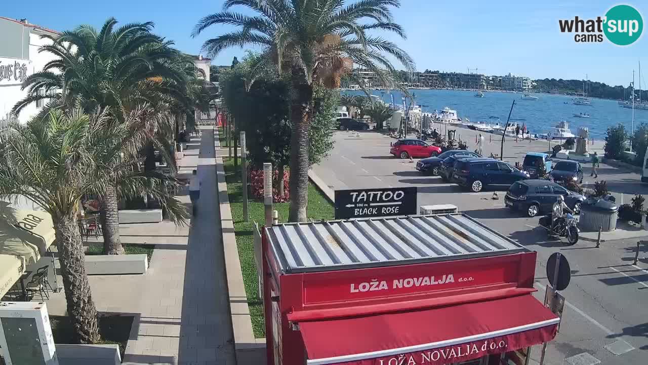 Live cam Novalja – Obala Petra Krešimira IV